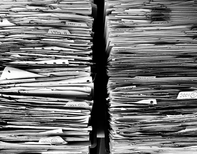 files, paper, office, paperwork, stack, work, data, folders, pile, organize, storage, archive, documentation, catalog, monochrome, black and white, files, files, files, paper, pape