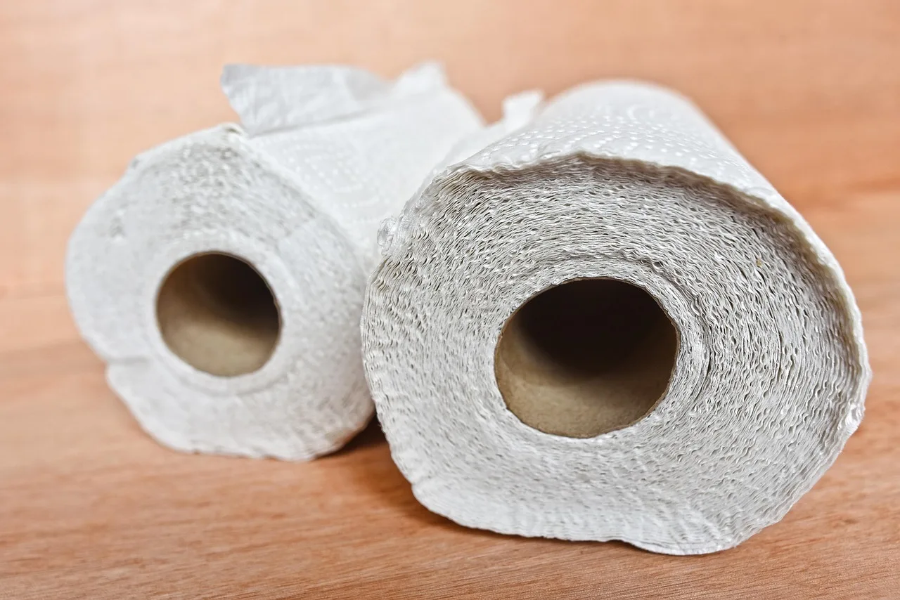 kitchen towel, kitchen paper, roll, cleaning, sanitary, wipe, household, domestic, kitchen towel, kitchen towel, kitchen towel, kitchen towel, kitchen paper, kitchen paper, kitchen paper, kitchen paper, kitchen paper. How paper storage and humidity control differ in Phoenix and Seattle