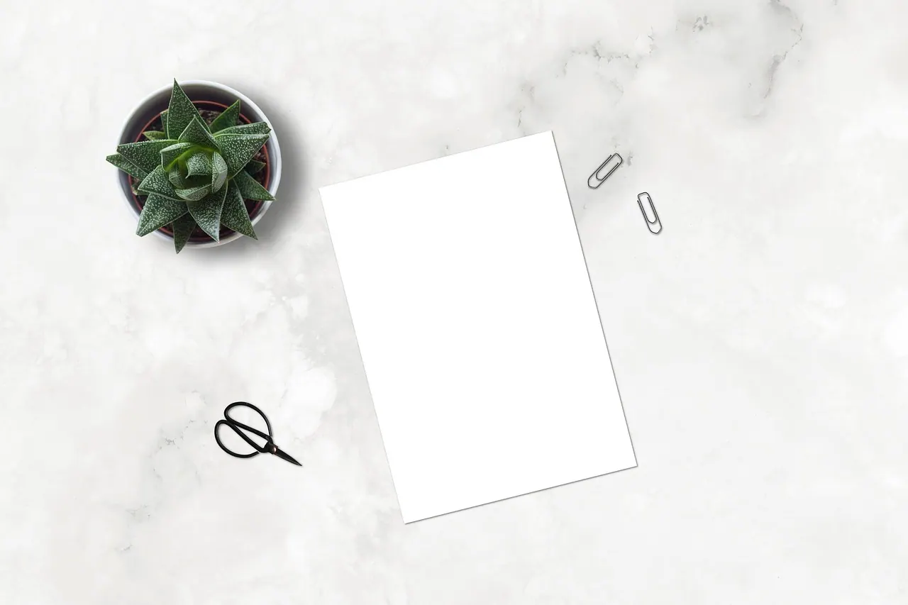 marble, paperclip, mockup, flatlay, plant, ecommerce, scissors, blank, paper, marketing, business, succulent, nature, sheet, desk, table, white sheet, portfolio, shop, drawing, pai