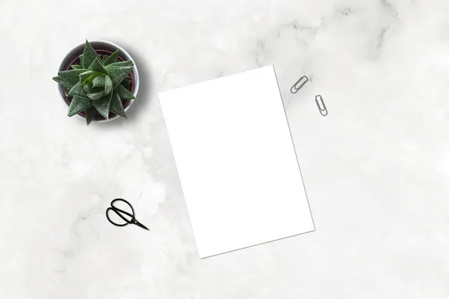 marble, paperclip, mockup, flatlay, plant, ecommerce, scissors, blank, paper, marketing, business, succulent, nature, sheet, desk, table, white sheet, portfolio, shop, drawing, pai