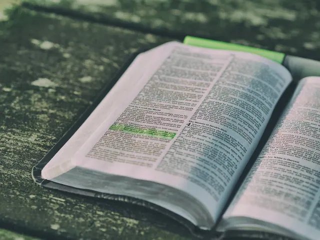 bible, book, open, open bible, open book, pages, chapters, bible reading, bible study, scriptures, bible scriptures, knowledge, literature, paper, print, study, bible, bible, bible